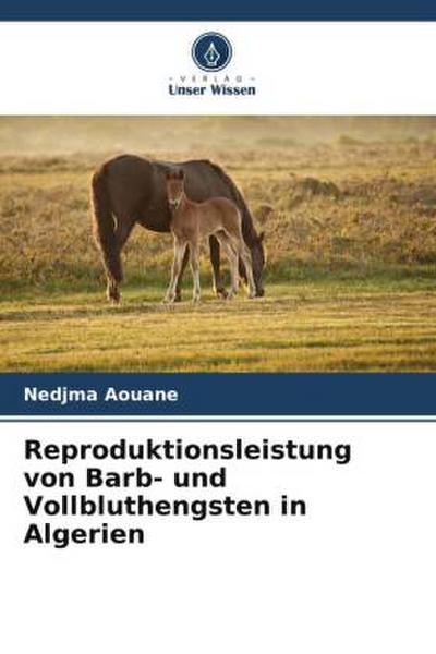 Reproduktionsleistung von Barb- und Vollbluthengsten in Algerien