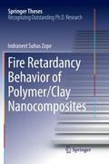 Fire Retardancy Behavior of Polymer/Clay Nanocompo