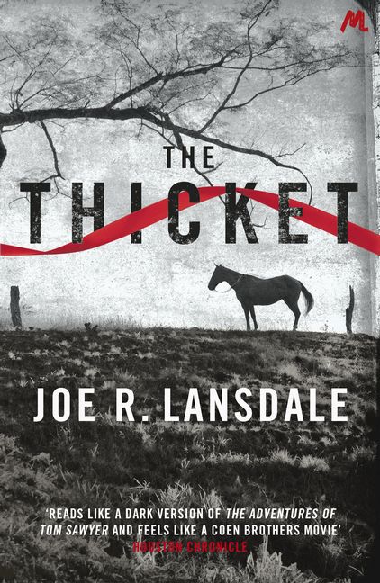 The Thicket Joe R. Lansdale - Afbeelding 1 van 1