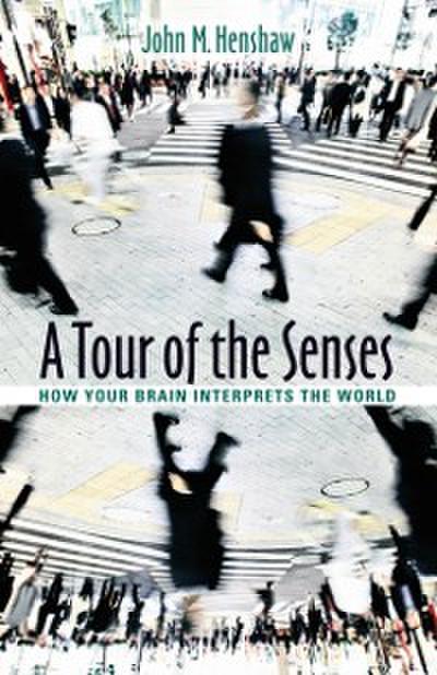 Tour of the Senses