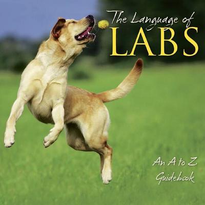The Language of Labs
