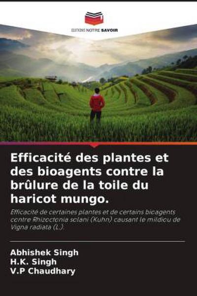 Efficacité des plantes et des bioagents contre la brûlure de la toile du haricot mungo.