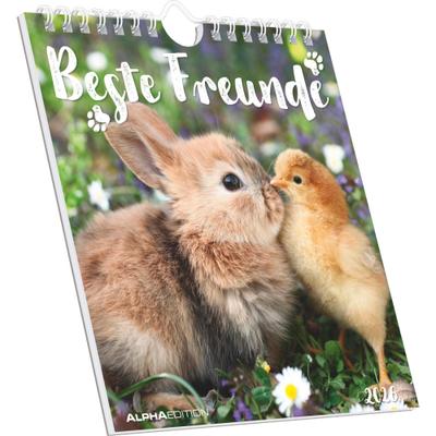 Beste Freunde 2026 - Postkartenkalender 16x17 cm