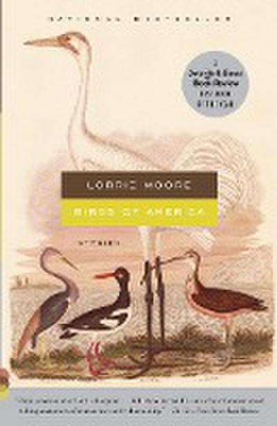 Birds of America: Stories - Lorrie Moore
