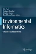 Environmental Informatics