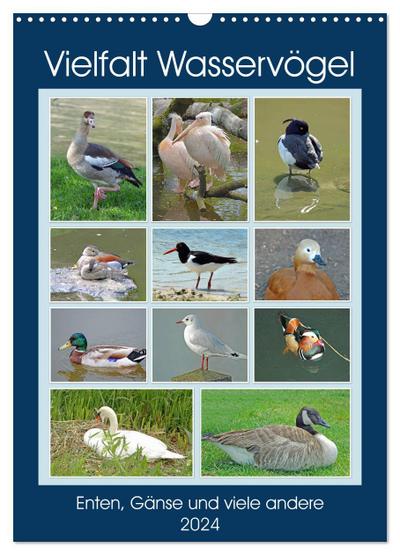 Vielfalt Wasservögel (Wandkalender 2024 DIN A3 hoch), CALVENDO Monatskalender