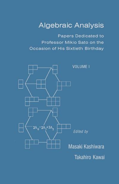 Algebraic Analysis