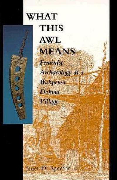 What This Awl Means (eBook, EPUB) - Janet D. Spector