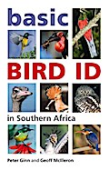 Basic Bird ID in Southern Africa