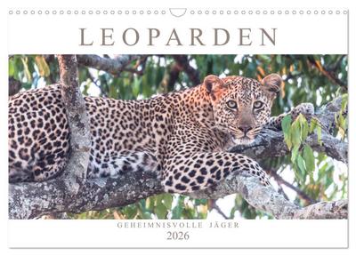 Leoparden - Geheimnisvolle Jäger (Wandkalender 2026 DIN A3 quer), CALVENDO Monatskalender