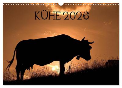 Kühe 2026 (Wandkalender 2026 DIN A3 quer), CALVENDO Monatskalender