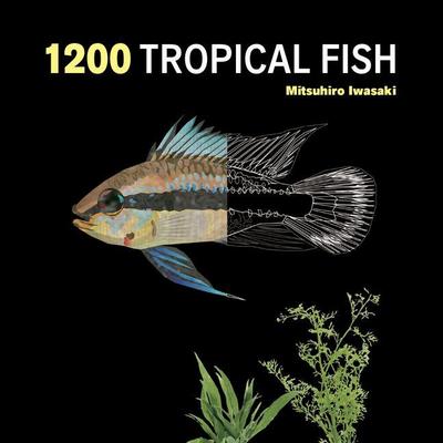 1200 Tropical Fish