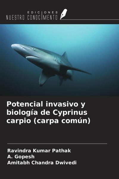 Potencial invasivo y biología de Cyprinus carpio (carpa común)