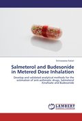 Salmeterol and Budesonide in Metered Dose Inhalation