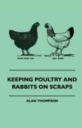 Keeping Poultry and Rabbits on Scraps