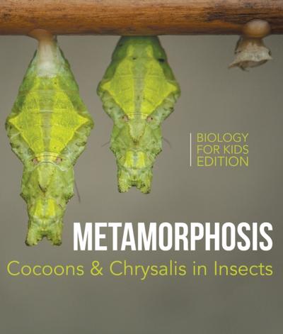 Metamorphosis: Cocoons & Chrysalis in Insects | Biology for Kids Edition