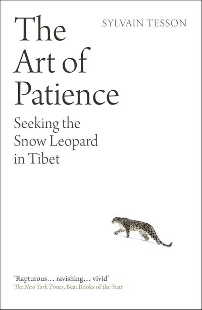 The Art of Patience