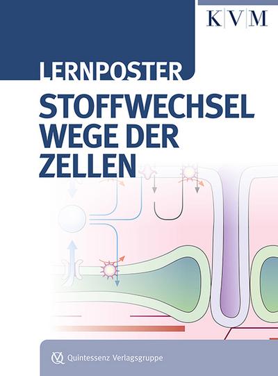 Lernposter - Stoffwechselwege der Zellen