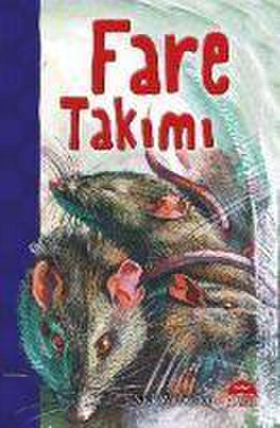 Fare Takimi
