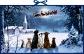 Wunderbare Hunde-Weihnacht