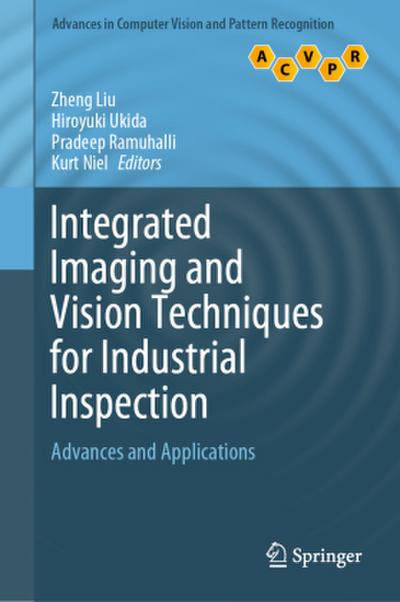 Integrated Imaging and Vision Techniques for Industrial Inspection