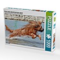 Briard voller Lebensfreude beim spielen (Puzzle)