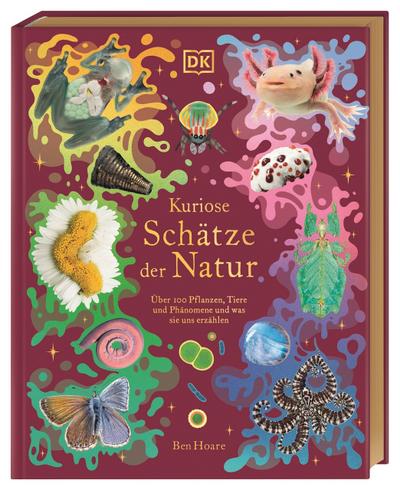 Kuriose Schätze der Natur: Über 100 Pflanzen, Tiere und Phänomene und was sie uns erzählen. Hochwertig ausgestattet mit Goldfolie und Goldschnitt. Für Kinder ab 8 Jahren