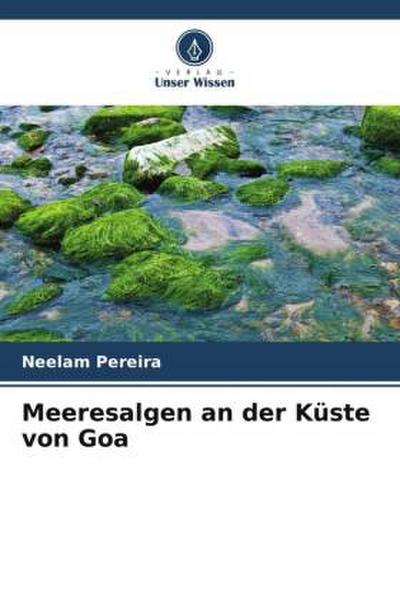 Meeresalgen an der Küste von Goa