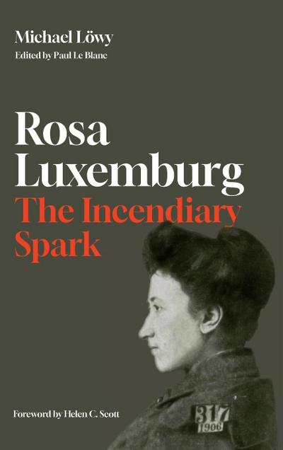 Rosa Luxemburg: The Incendiary Spark