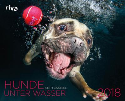 Hunde unter Wasser 2018