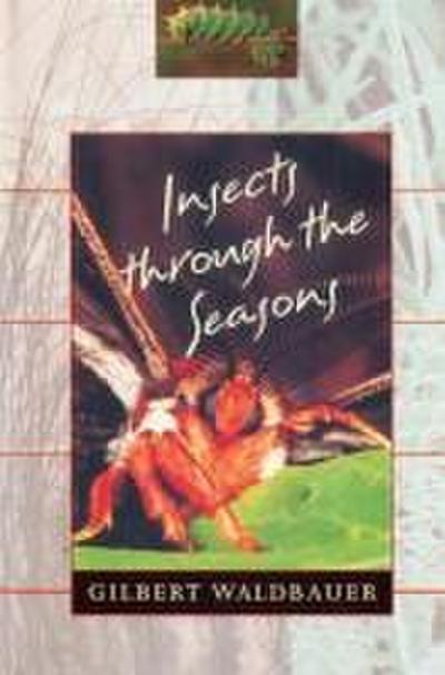 Insects Through the Seasons