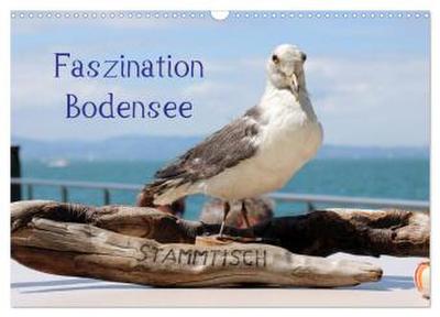 Faszination Bodensee (Wandkalender 2026 DIN A3 quer), CALVENDO Monatskalender