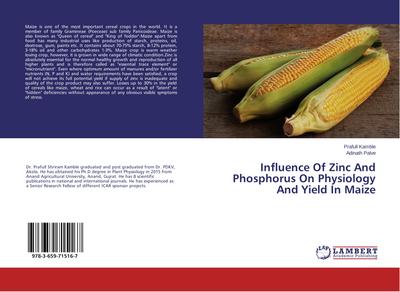 Influence Of Zinc And Phosphorus On Physiology And Yield In Maize