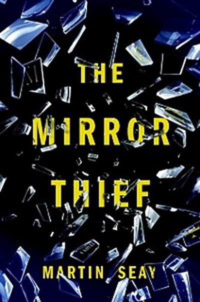 Mirror Thief