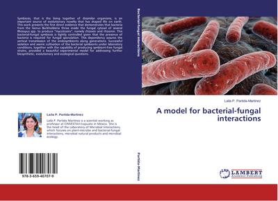 A model for bacterial-fungal interactions
