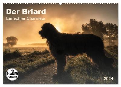 Der Briard 2024 - Ein echter Charmeur (Wandkalender 2024 DIN A2 quer), CALVENDO Monatskalender