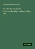 Die indische Cholera im Regierungsbezirke Zwickau im Jahre 1866
