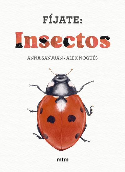 Fíjate: insectos