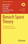 Banach Space Theory