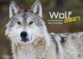 Wolf - Im Schatten des Waldes 2027
