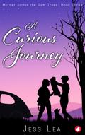 A Curious Journey