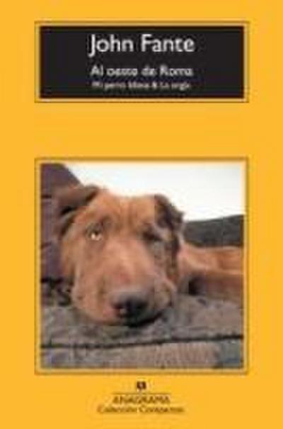 Al oeste de Roma : mi perro idiota & la orgía