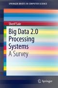 Big Data 2.0 Processing Systems