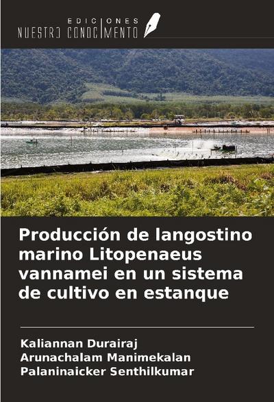 Producción de langostino marino Litopenaeus vannamei en un sistema de cultivo en estanque