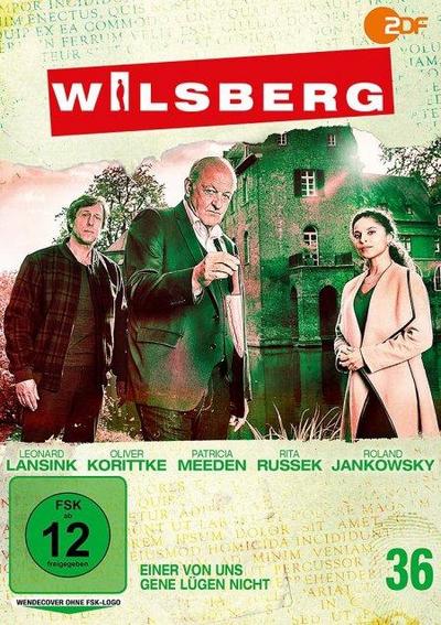 Wilsberg