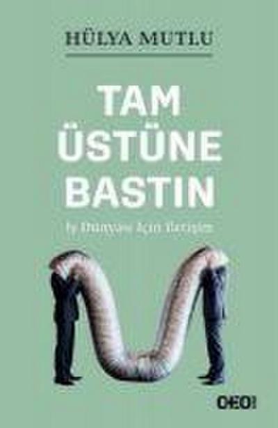 Tam Üstüne Bastin