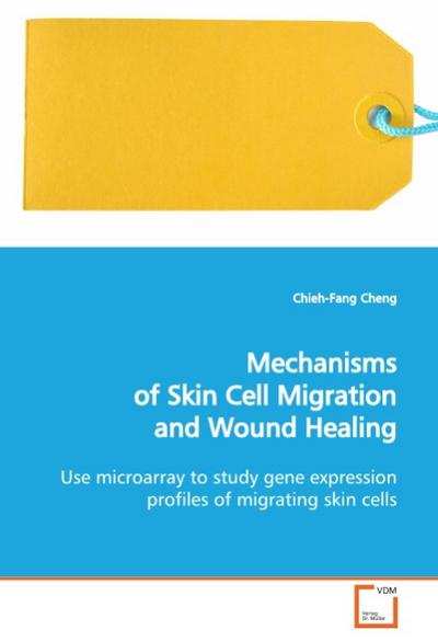Mechanisms of Skin Cell Migration and Wound Healing