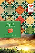 Beyond the Storm