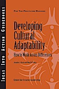 Developing Cultural Adaptability: How to Work Across Differences
