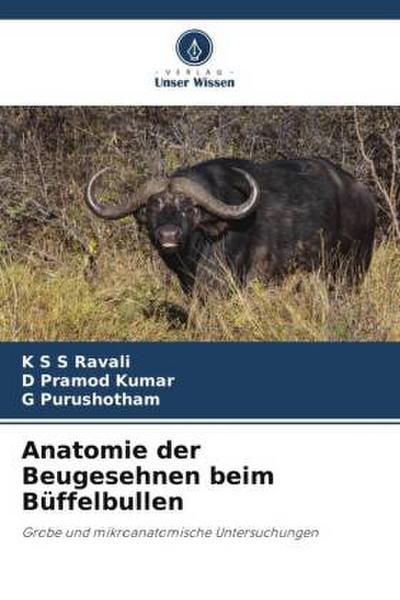 Anatomie der Beugesehnen beim Büffelbullen